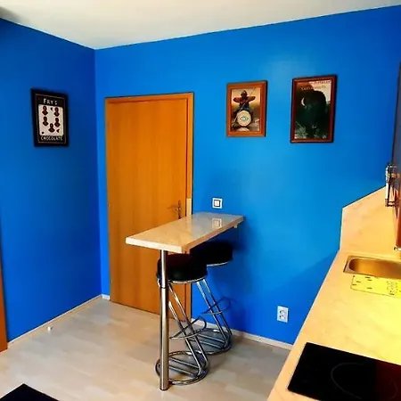 アパート Pool カルロヴィ・ヴァリ