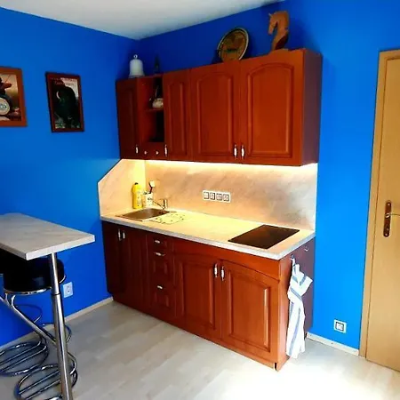 Pool アパート カルロヴィ・ヴァリ