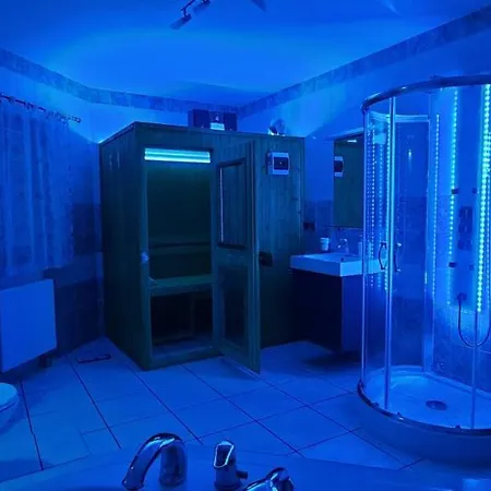 Pool Apartment Karlovy Vary