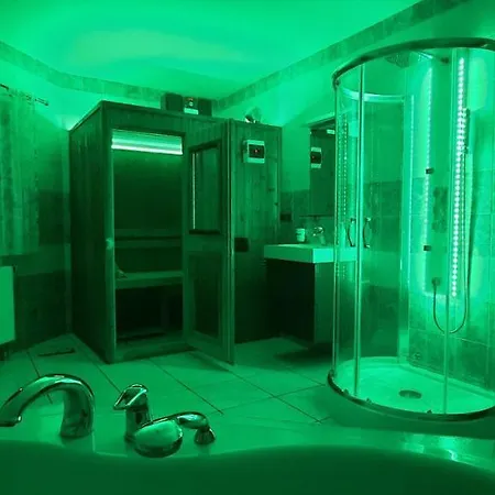 Pool アパート カルロヴィ・ヴァリ