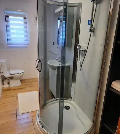 Pool アパート カルロヴィ・ヴァリ