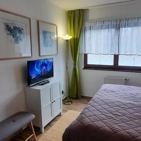 Pool アパート カルロヴィ・ヴァリ